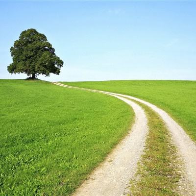 B体育IOS版下载安装