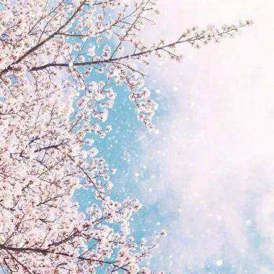 乐虎国际下载手机版