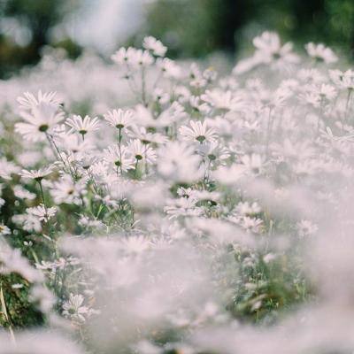 爱体育官方网站下载手机版