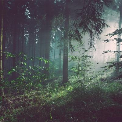 斗牛游戏大厅app下载